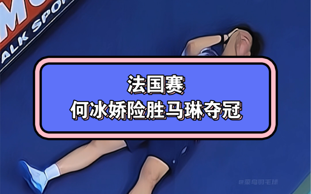 法国羽毛球队逆转日本羽毛球队，马琳统治全场