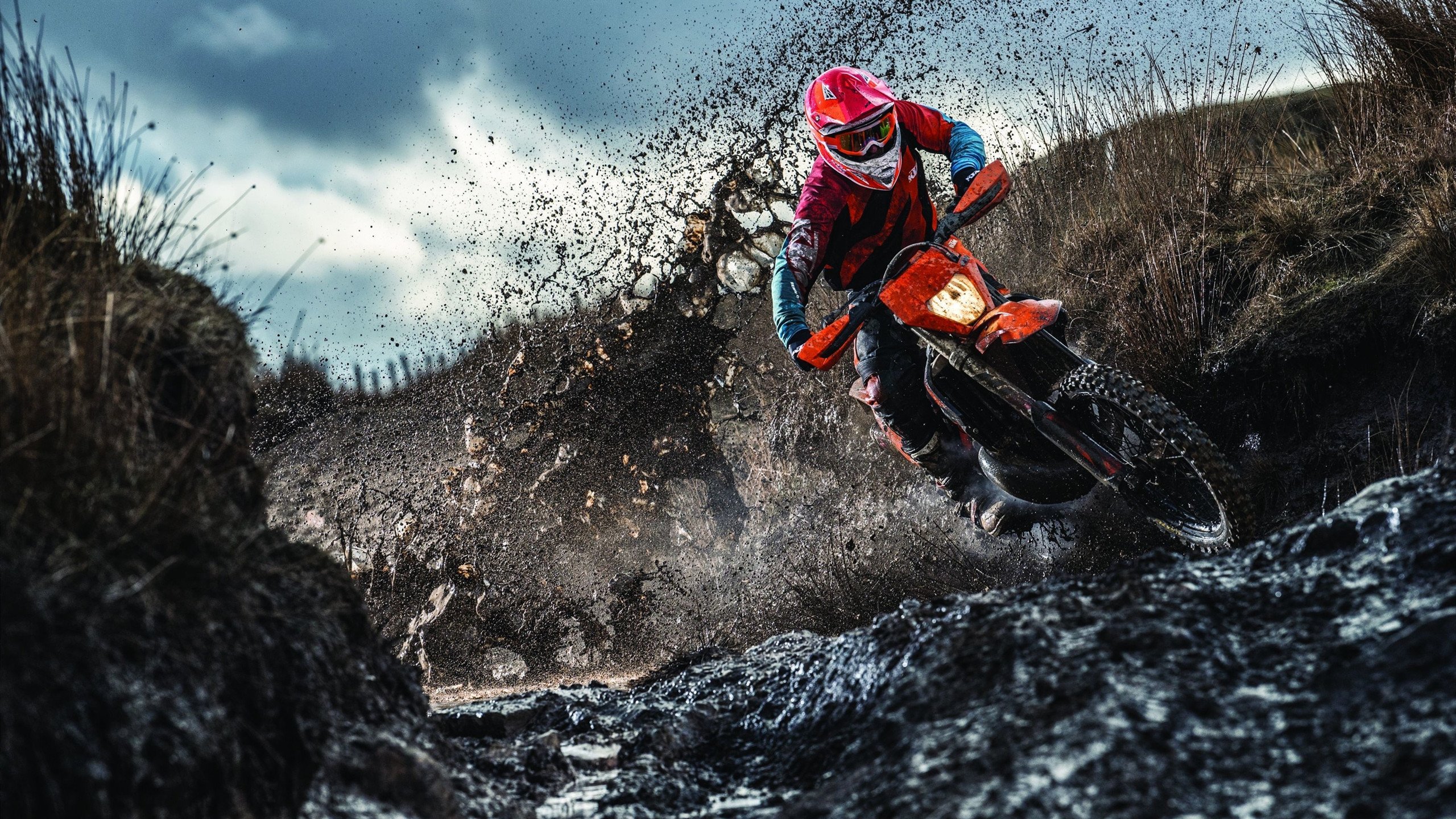 从公牛到世界，米切尔的进化之路—2026世界杯如何见证一位巨星的终极接管